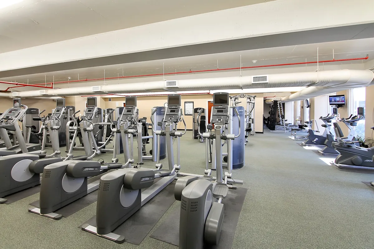 A row of elliptical machines and cardio treadmills are lined up along windows in a bright, spacious fitness center. Weight training machines are visible in the background, and television screens are mounted near the equipment, encouraging a health-focused yet leisurely environment.
